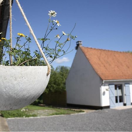 A L'Ombre Du Prunier Bed & Breakfast Licques Bagian luar foto